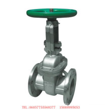 JIS 10k Valve de porte en acier inoxydable Scs13 Gate Valve